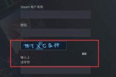 steam手机版登录验证码输不对解决方法