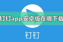 钉钉app安卓版在哪下载