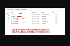 苹果CMSV10伪静态基础讲解和伪静态设置教程