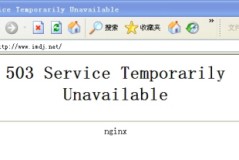 503 service unbelievable详细介绍