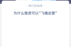 为什么壁虎可以“飞檐走壁”？