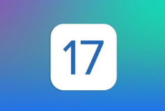 ios17支持双开吗