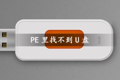 PE里找不到U盘