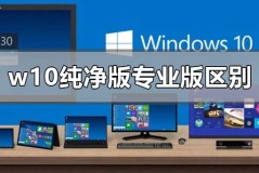 w10纯净版和专业版有什么区别