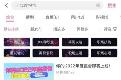 b站年度报告2021怎么看