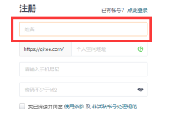 gitee注册要用实名吗
