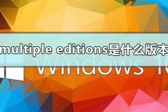 multiple editions是什么版本