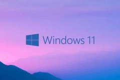 win11正式版有wsa吗详细介绍