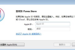 itunes store是什么意思