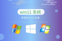 win11个人使用什么版本