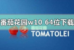 番茄花园win10 64位系统在哪下载