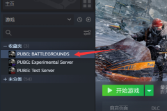 steam上的pubg下载哪一个