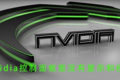 nvidia控制面板里没有显示和视频