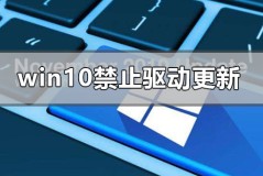 win10怎么禁止驱动程序强制更新