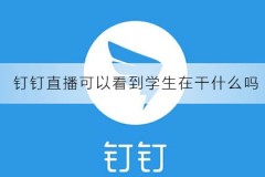 钉钉直播可以看到学生在干什么吗