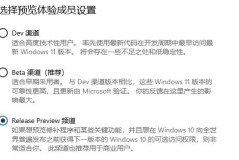 win11选择dev和beta渠道对比介绍