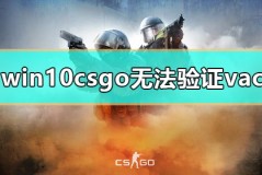 win10csgo无法验证vac怎么办