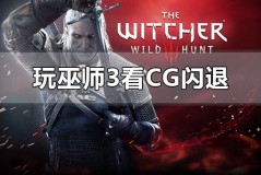 win10玩巫师3看cg闪退怎么解决