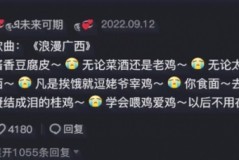 浪漫广西是什么梗