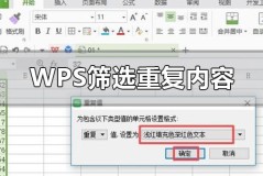 wps表格怎么筛选重复内容