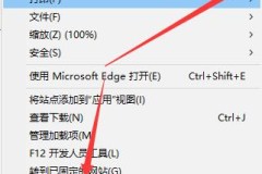 win11网页兼容性设置的方法