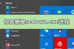 彻底删除sedown.exe进程有什么方法