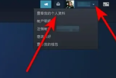 steam账号名字怎么改