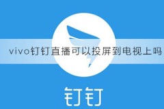 vivo钉钉直播可以投屏到电视上吗