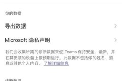 Microsoft Teams怎么显示个人资料？Microsoft Teams显示个人资料教程