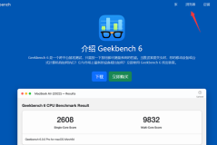 geekbench6分数排行榜怎么看