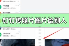 钉钉怎么传照片图片给别人