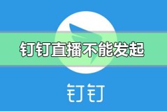 钉钉直播创建失败不能发起