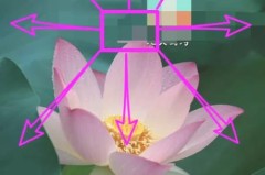 华为nova7se怎么隐藏应用软件