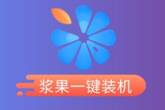 重装系统软件哪个版本好