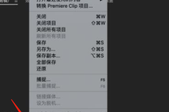 premiere怎么导入视频